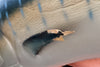 Tag and Release Mounted Sailfish