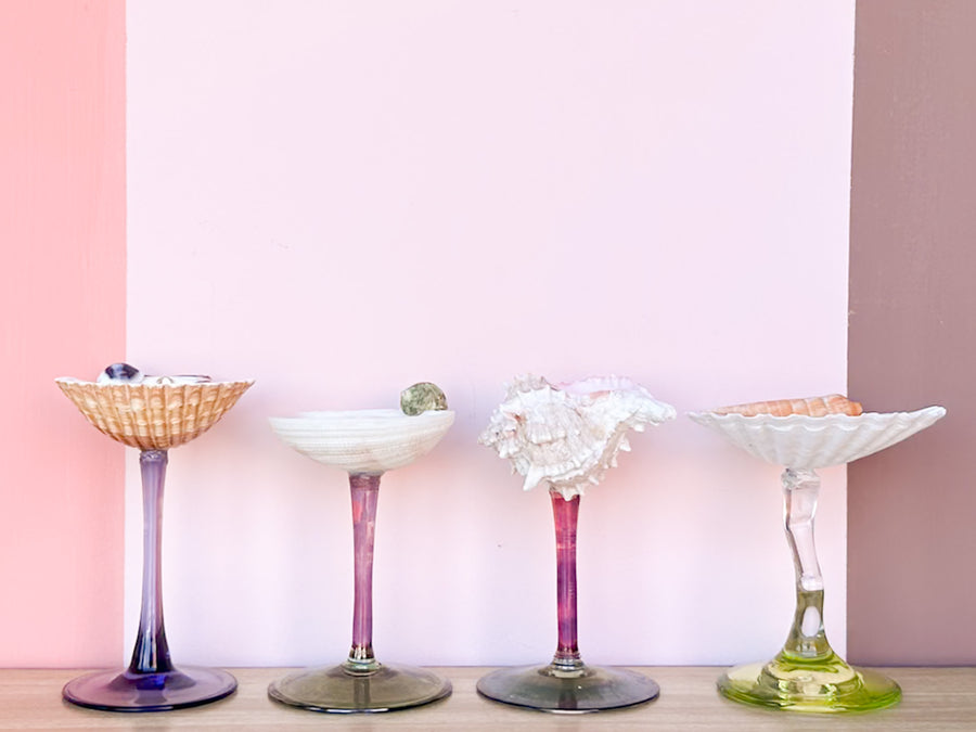 Set of Four Colorful Shell Coupes