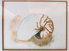 Pair of Framed Shell Prints