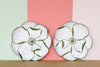 Set of Eight Italian Flower Plates
