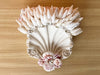 Pair of Shell Chic Wall Shelves