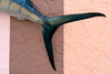 Tag and Release Mounted Sailfish