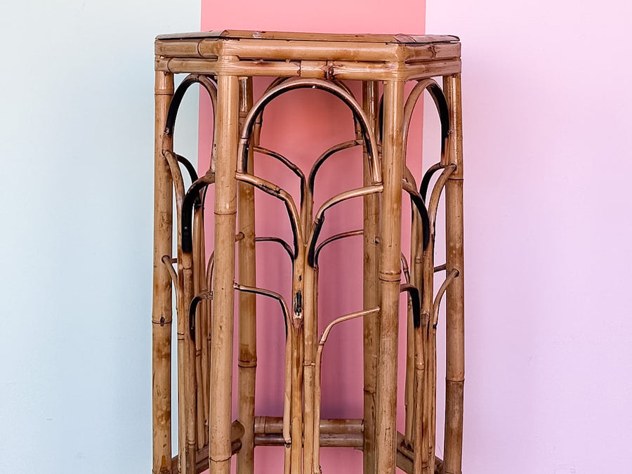 Hexagon Tortoiseshell Rattan Plant Stand