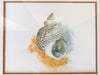 Pair of Framed Shell Prints
