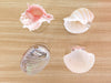 Set of Four Shell Chic Coupes