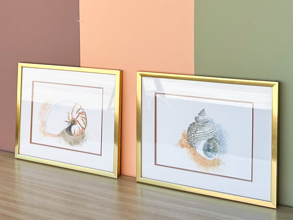 Pair of Framed Shell Prints