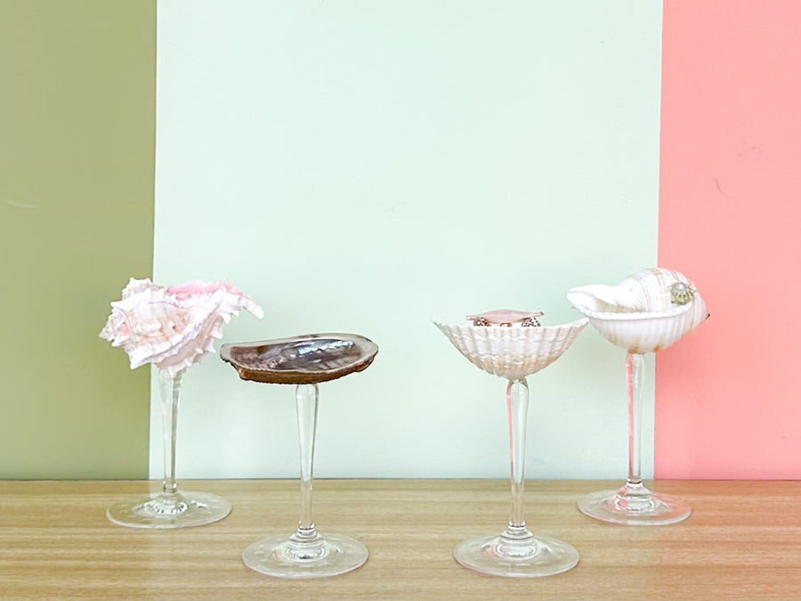 Set of Four Shell Chic Coupes