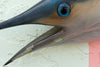 Tag and Release Mounted Sailfish
