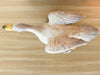 Sweet Italian Ceramic Duck