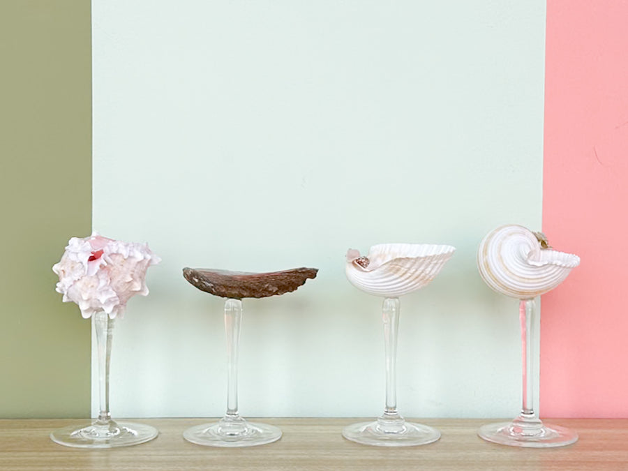 Set of Four Shell Chic Coupes