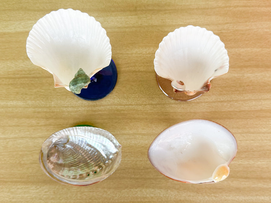 Set of Four Colorful Shell Coupes