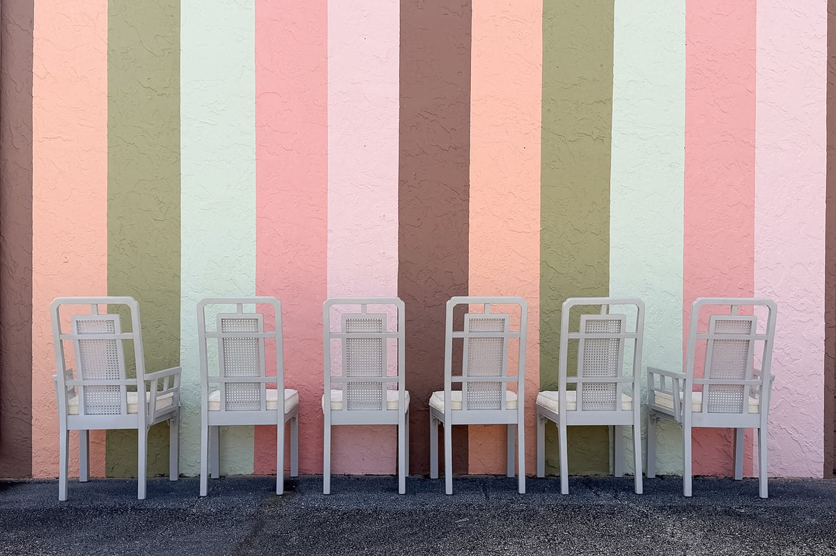 Set of Six Newly Painted Cane and Wood Dining Chairs
