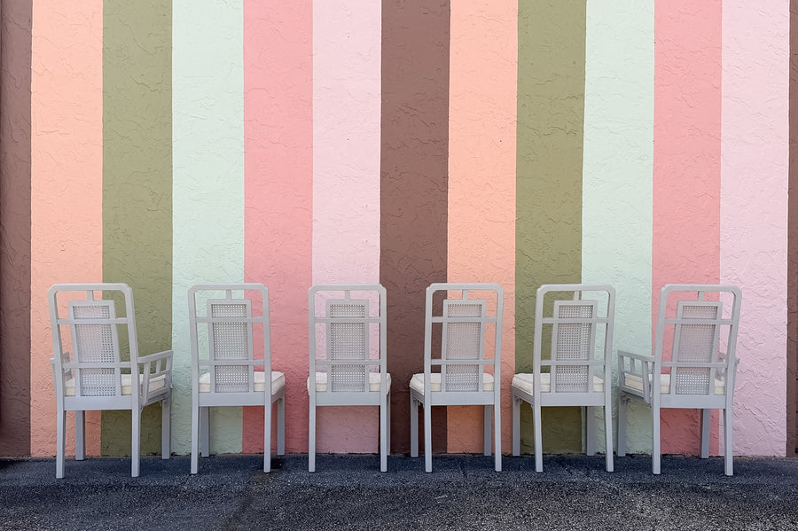 Set of Six Newly Painted Cane and Wood Dining Chairs