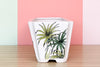 Parrot Head Cachepot