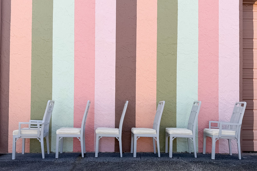 Set of Six Newly Painted Cane and Wood Dining Chairs