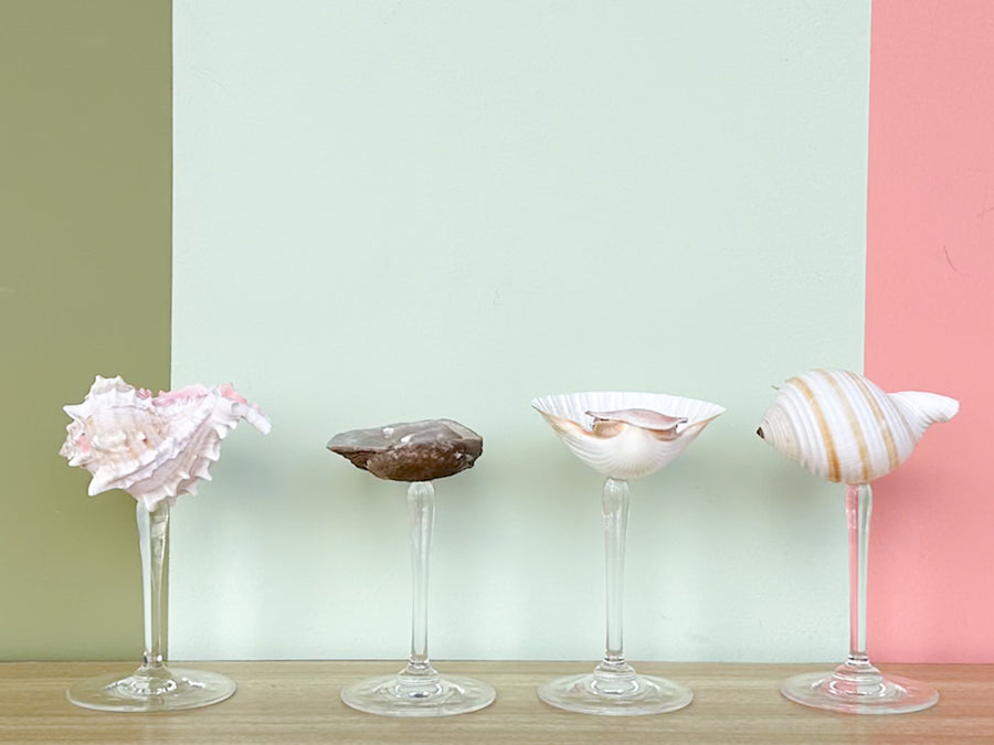 Set of Four Shell Chic Coupes