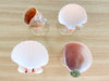 Set of Four Shell Coupes