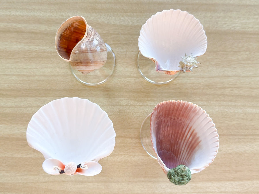 Set of Four Shell Coupes