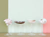 Set of Four Shell Chic Coupes