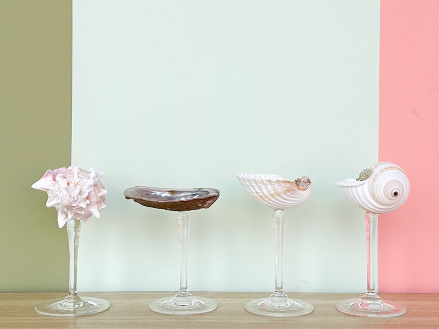 Set of Four Shell Chic Coupes
