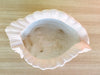 Peach Conch Shell Cachepot