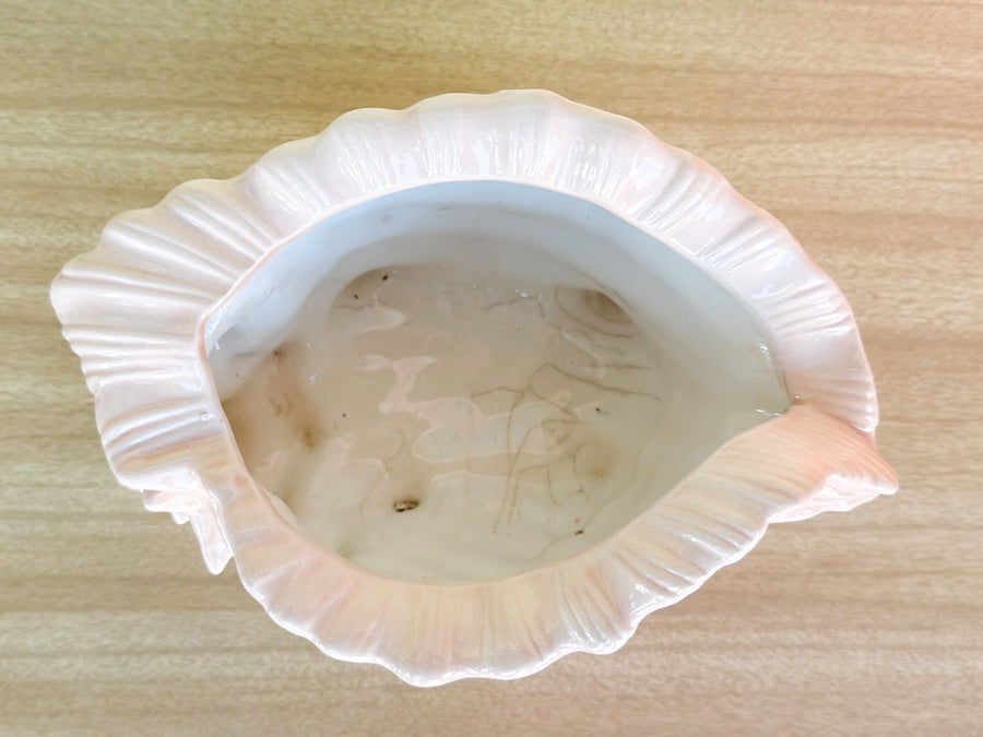 Peach Conch Shell Cachepot