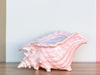 Peach Conch Shell Cachepot