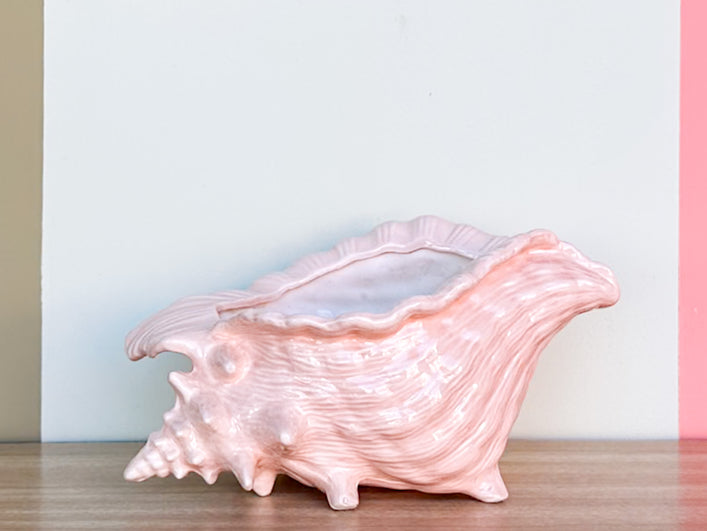 Peach Conch Shell Cachepot