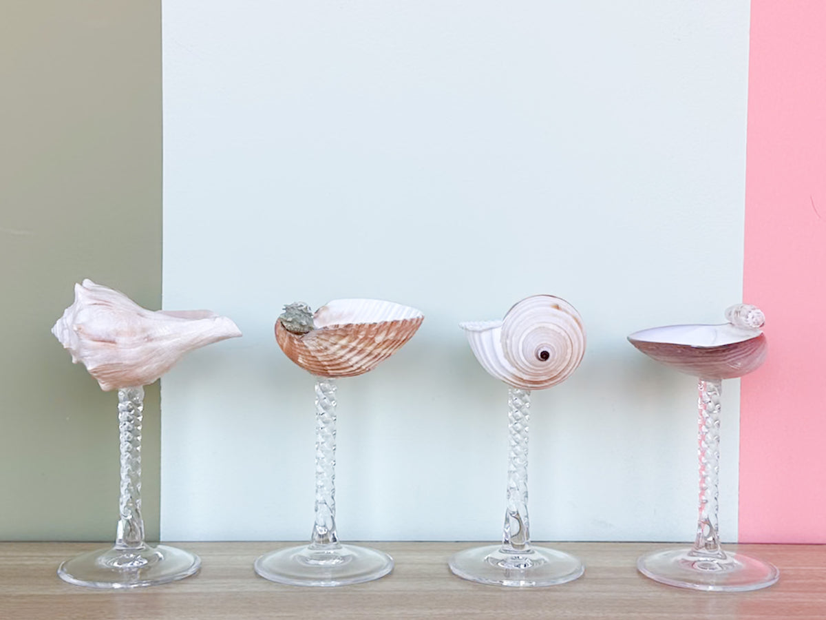 Set of Four Shell Coupes