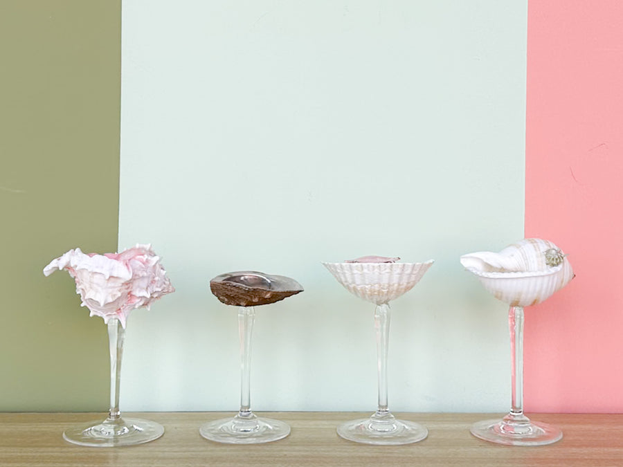 Set of Four Shell Chic Coupes