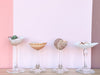 Set of Four Shell Coupes
