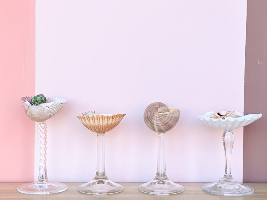 Set of Four Shell Coupes