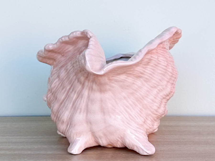 Peach Conch Shell Cachepot