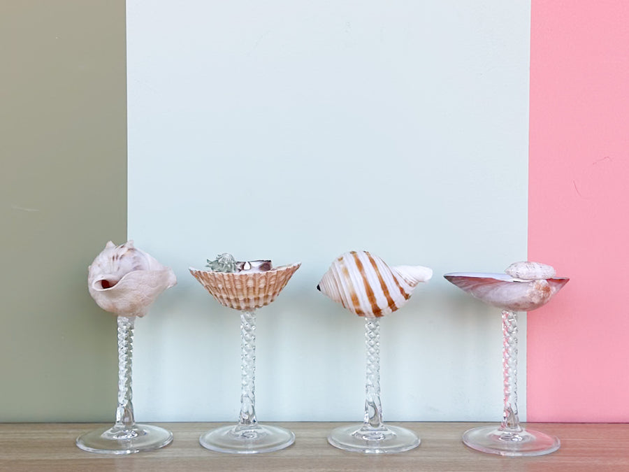 Set of Four Shell Coupes