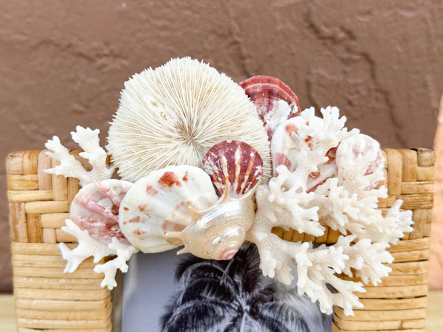Shell Chic Rattan Frame