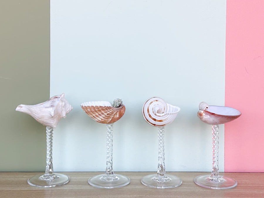 Set of Four Shell Coupes