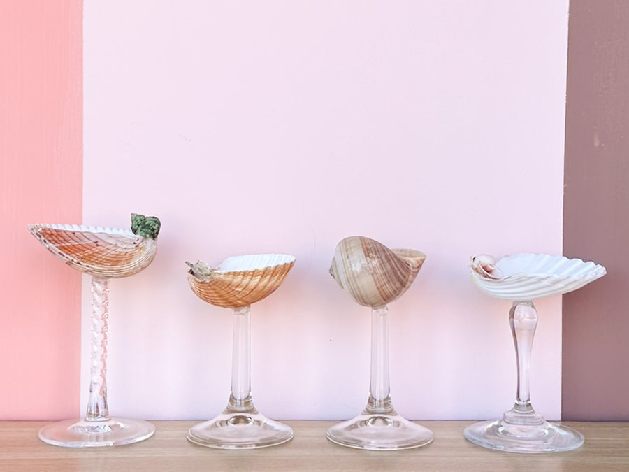 Set of Four Shell Coupes