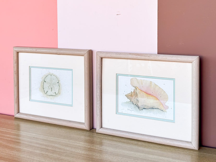 Pair of Pretty Pastel Shell Prints