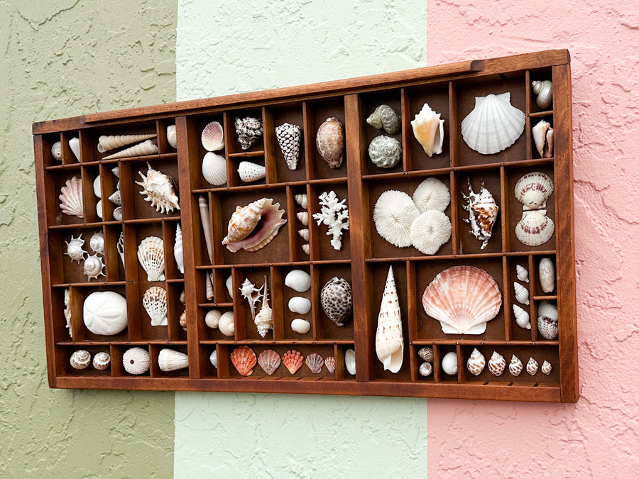 Printers Tray Shell Display