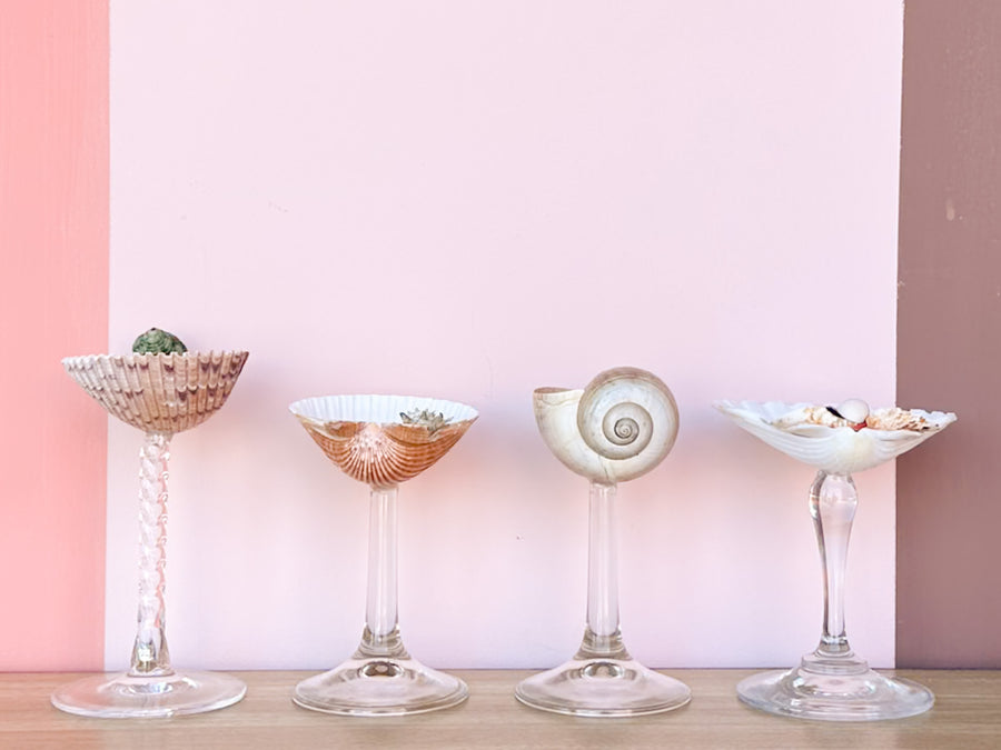 Set of Four Shell Coupes