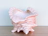Peach Conch Shell Cachepot