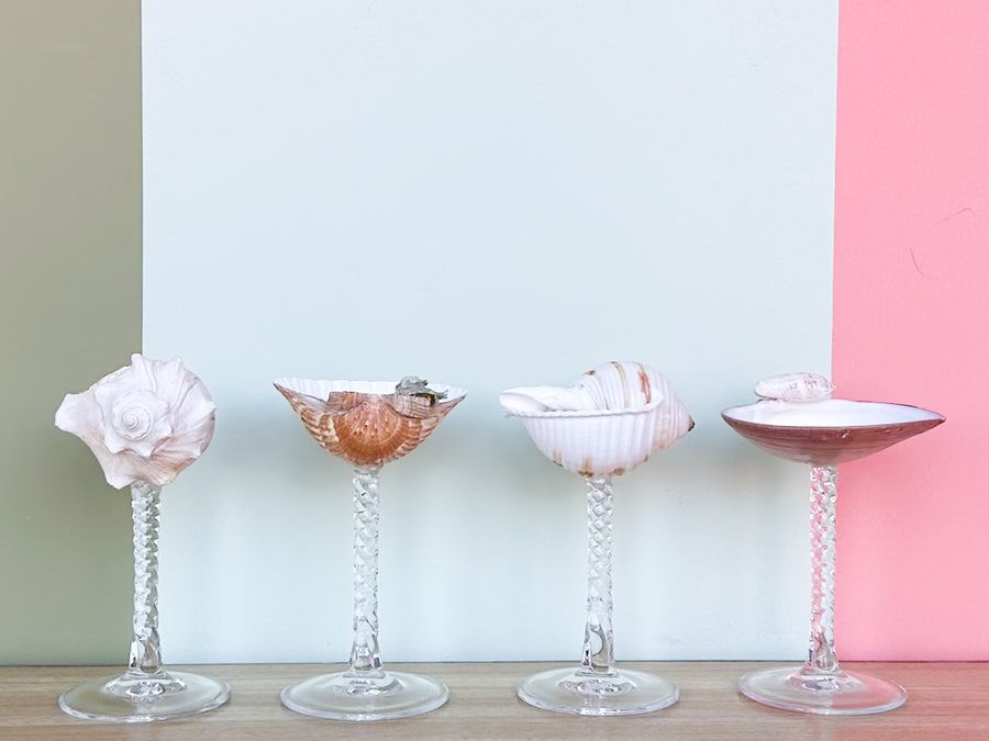 Set of Four Shell Coupes