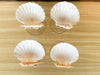 Set of Four Kips Bay Show House Shell Coupes