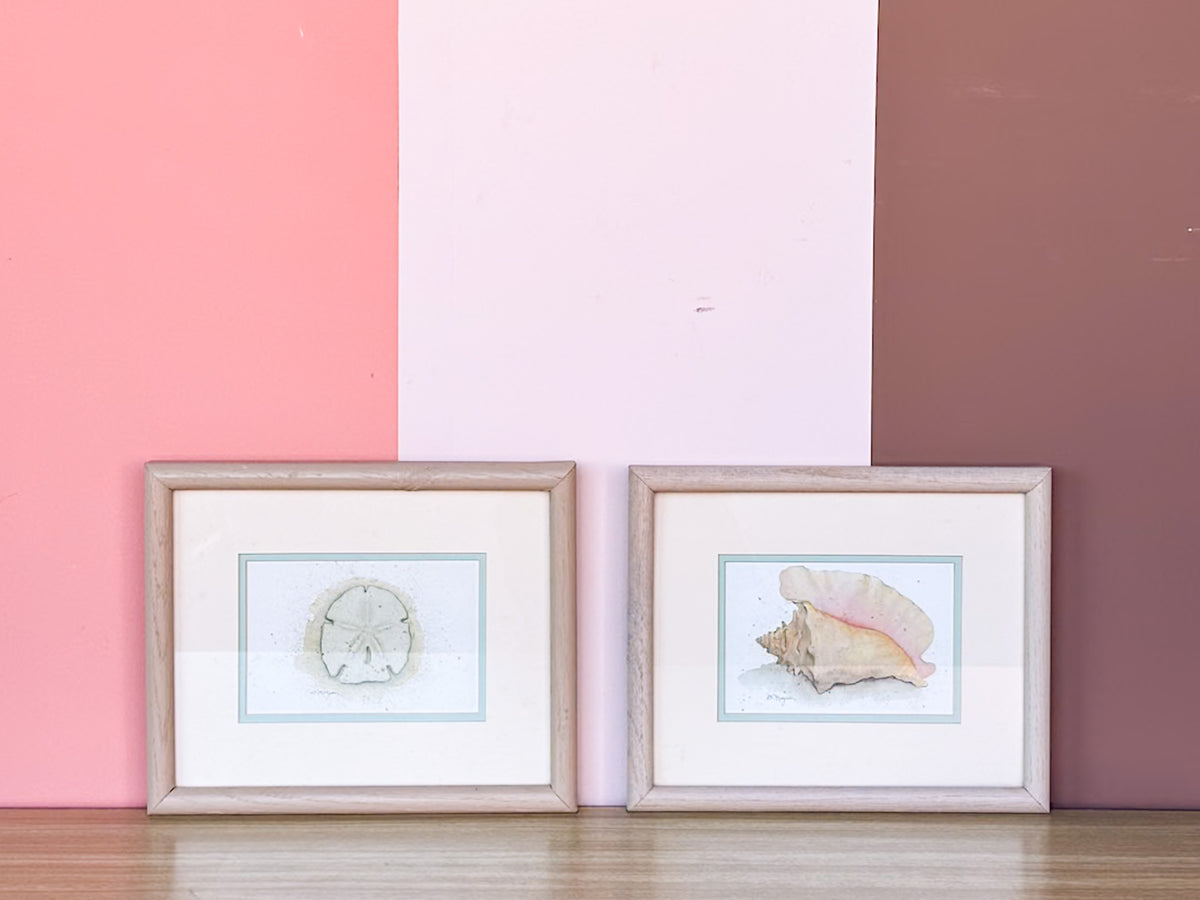 Pair of Pretty Pastel Shell Prints