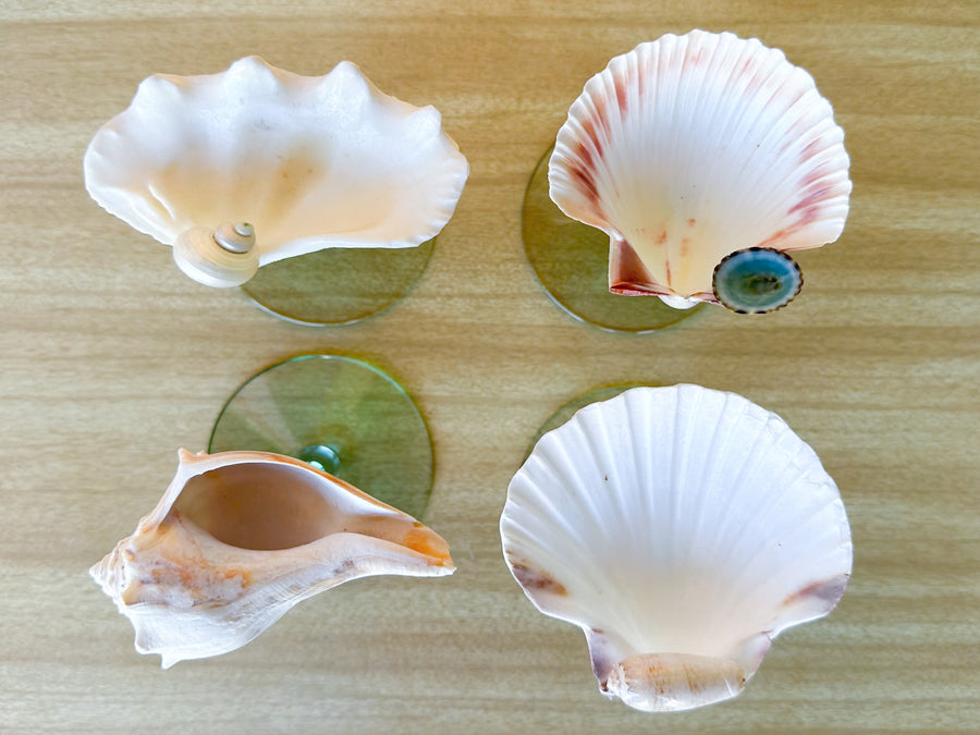 Set of Four Seafoam Shell Coupes