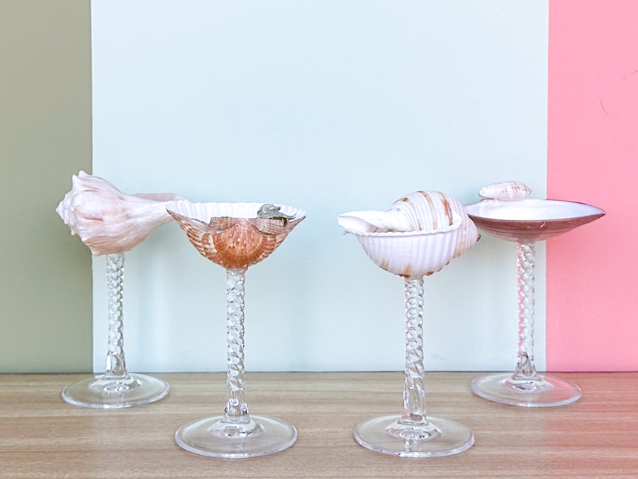 Set of Four Shell Coupes