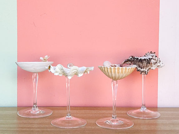 Set of Four Shell Coupes