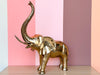 Large Brass Elephant