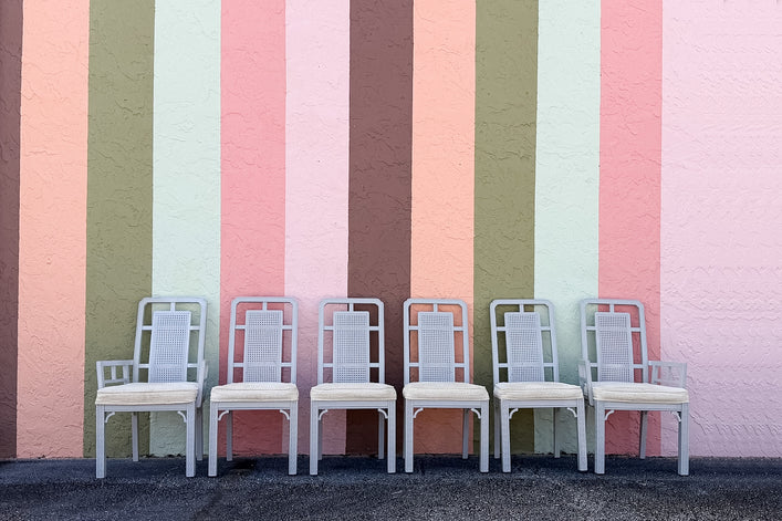 Set of Six Newly Painted Cane and Wood Dining Chairs