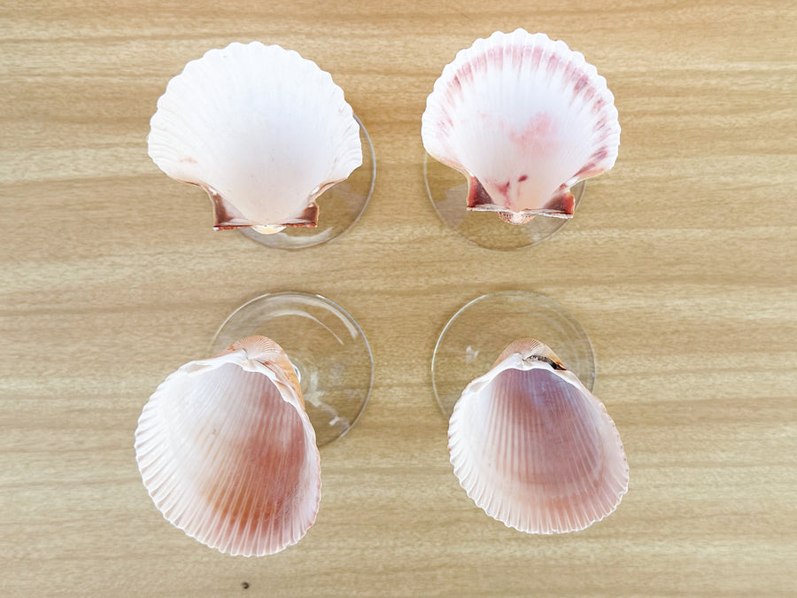 Set of Four Mixed Shell Coups